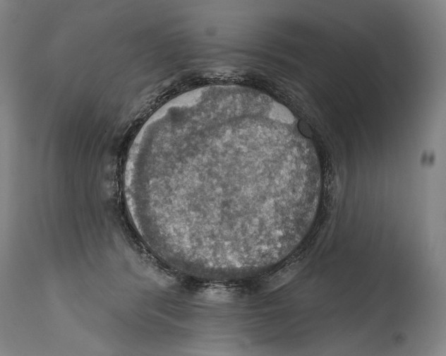 X0000114420416200911131455