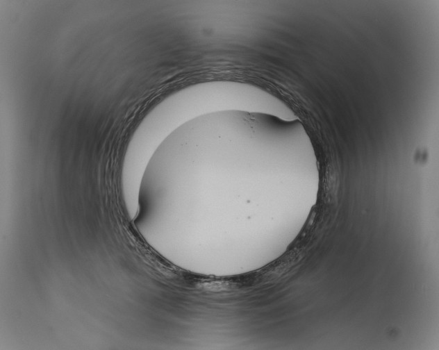 X0000114420417200911131455