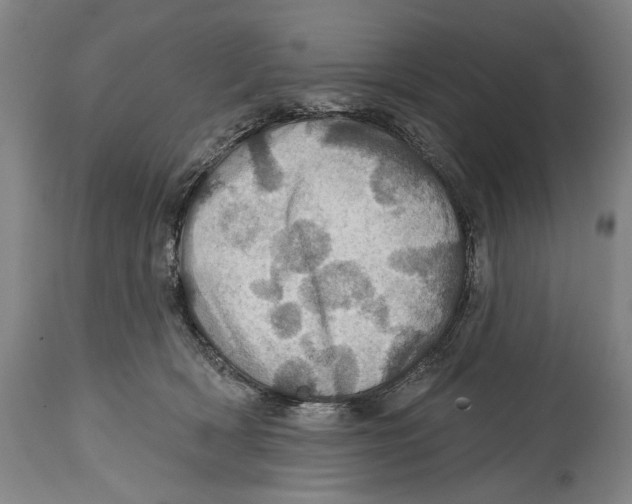 X0000114420418200911131455