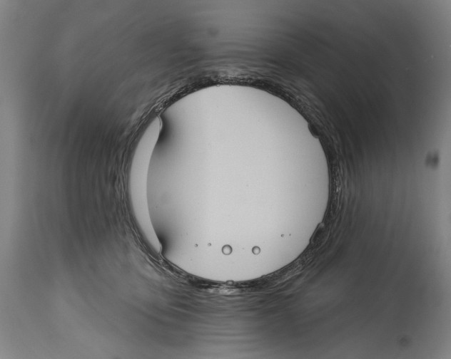 X0000114420419200911131455