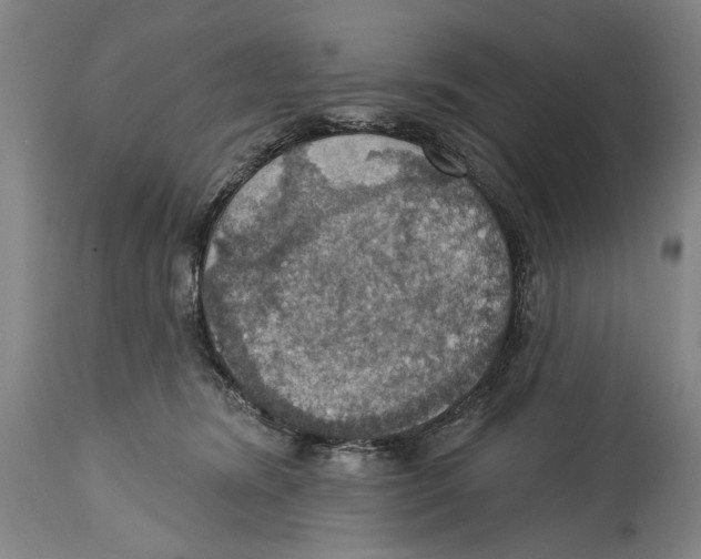 X0000114420420200911131455