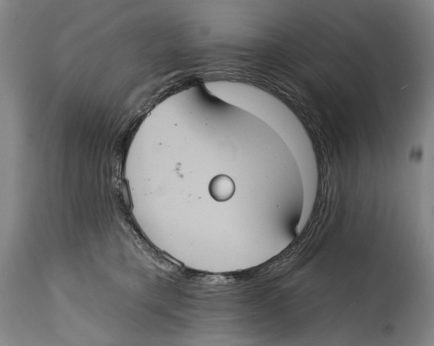 X0000114420421200911131455