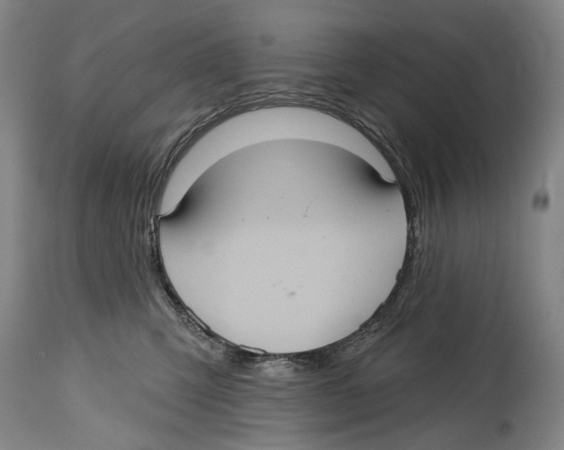 X0000114420423200911131455