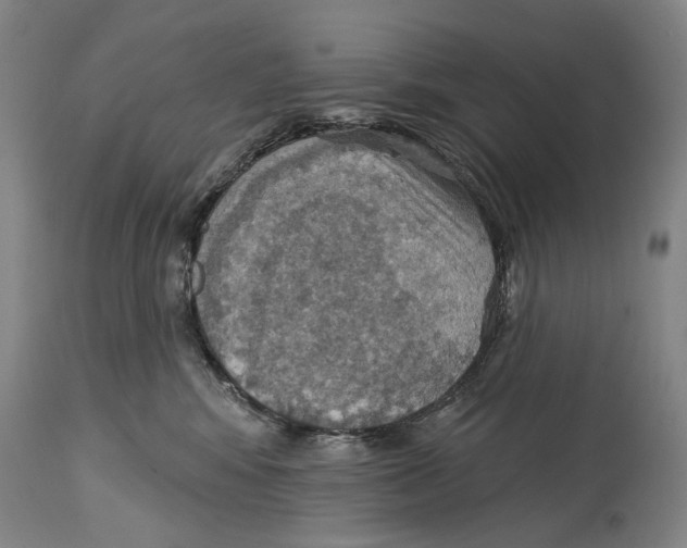 X0000114420424200911131455