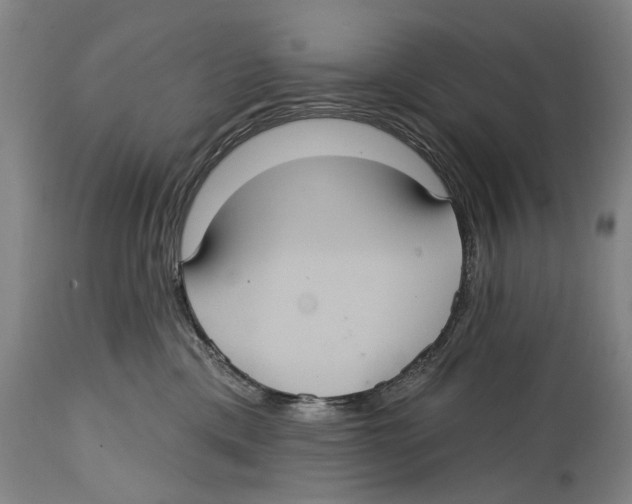 X0000114420425200911131455