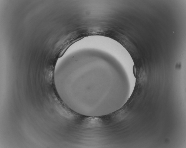 X0000114420427200911131455