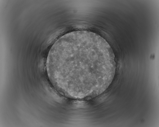 X0000114420428200911131455