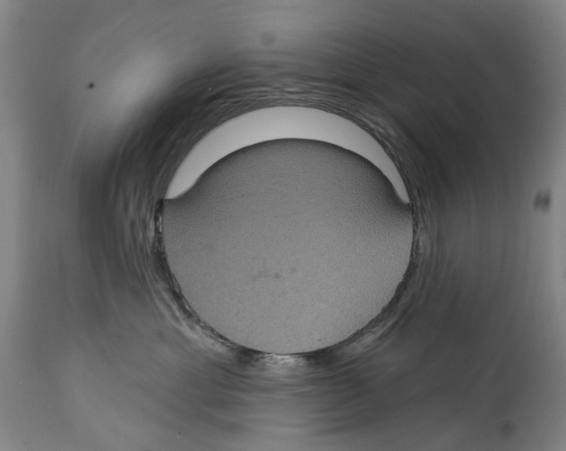 X0000114420429200911131455