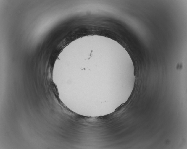 X0000114420431200911131455