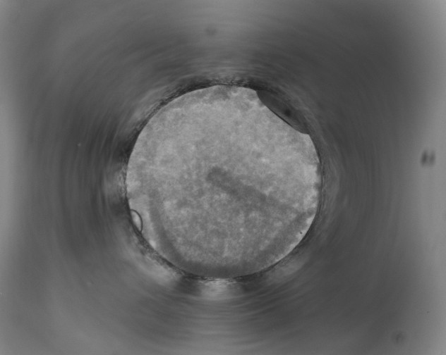 X0000114420432200911131455