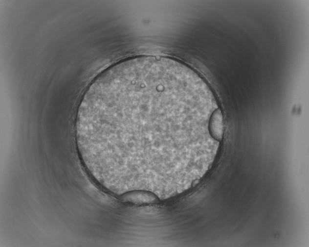 X0000114420433200911131454