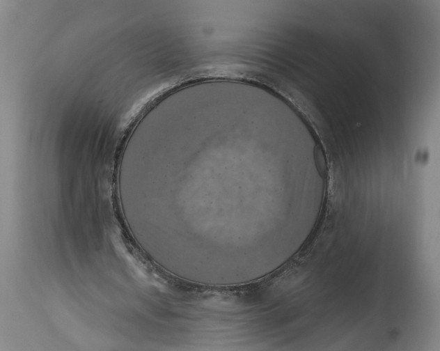 X0000114420434200911131454