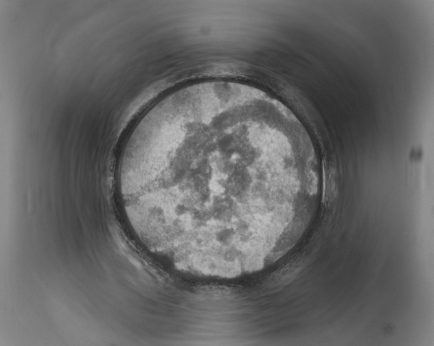 X0000114420435200911131454