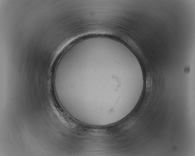 X0000114420436200911131454