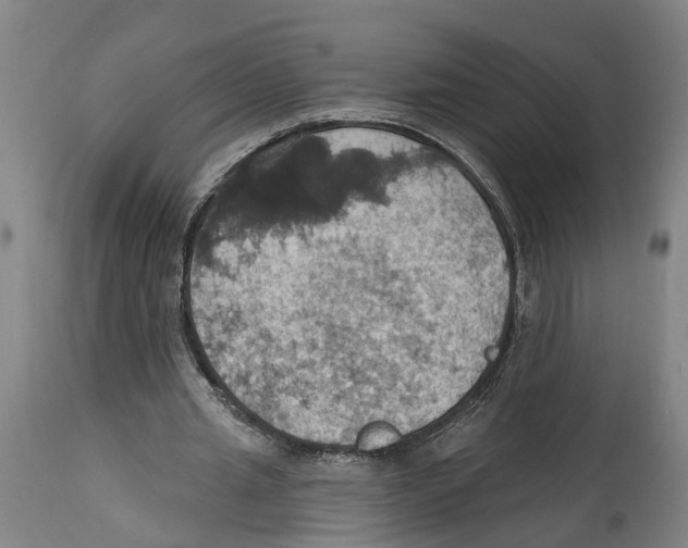 X0000114420437200911131454