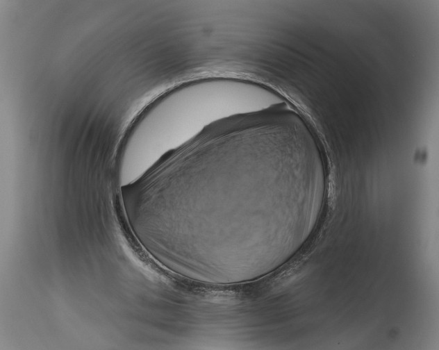 X0000114420438200911131454