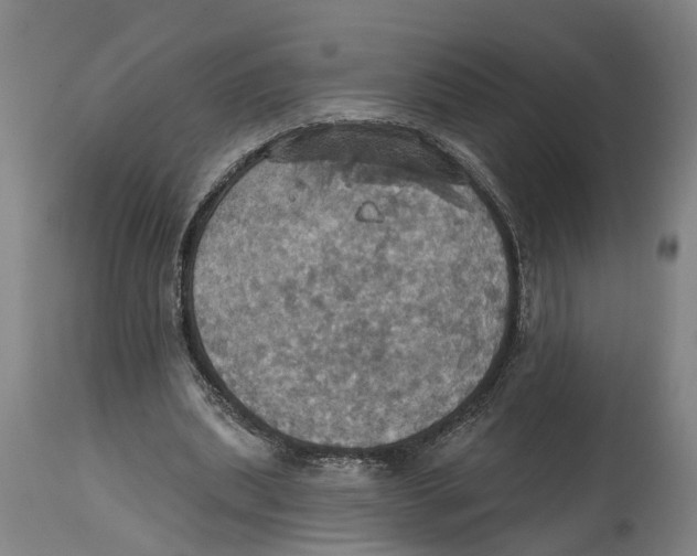 X0000114420439200911131454