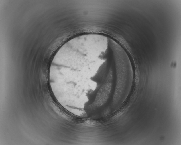 X0000114420441200911131454