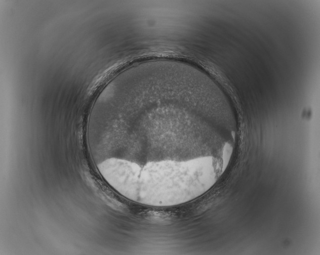 X0000114420442200911131454