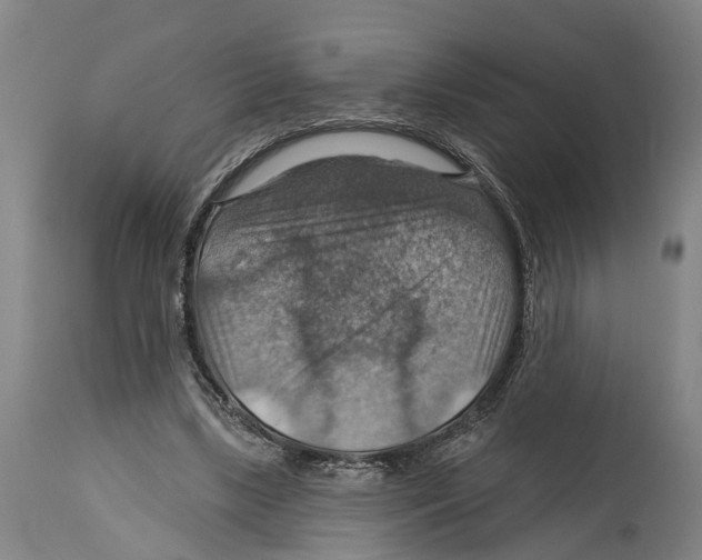 X0000114420443200911131454