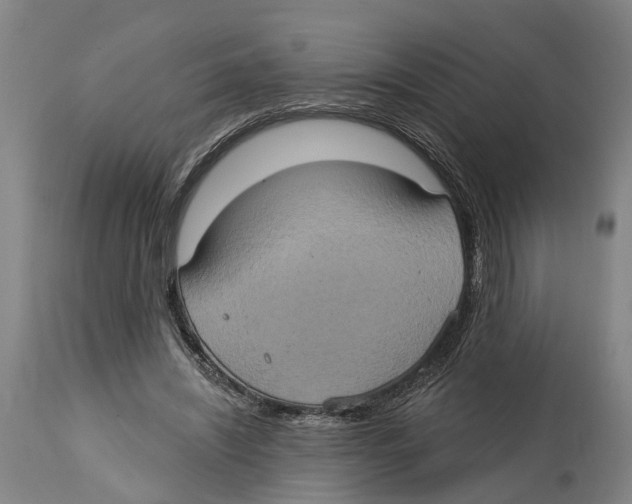 X0000114420444200911131454