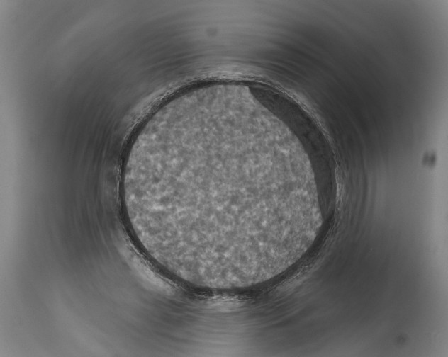 X0000114420445200911131454