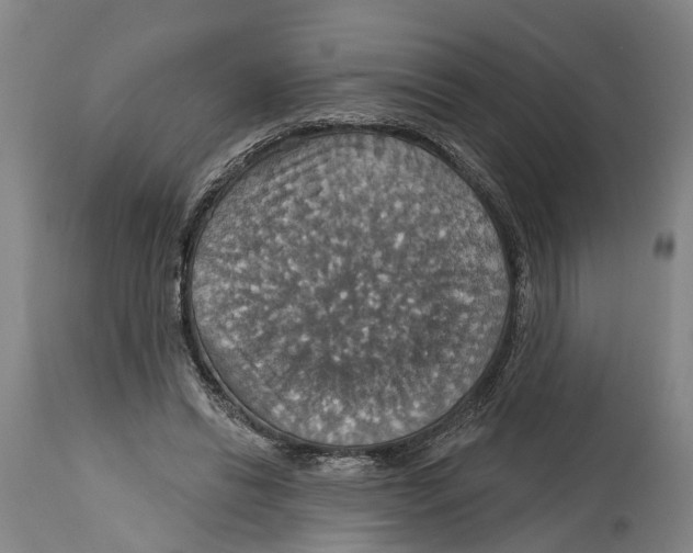 X0000114420446200911131454