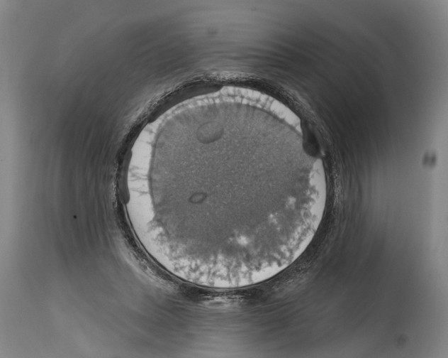 X0000114420447200911131454