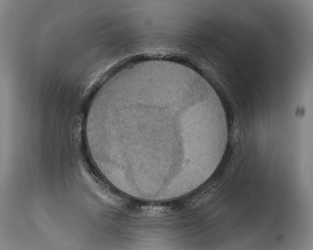 X0000114420448200911131454