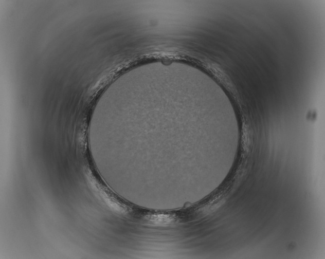 X0000114420449200911131454