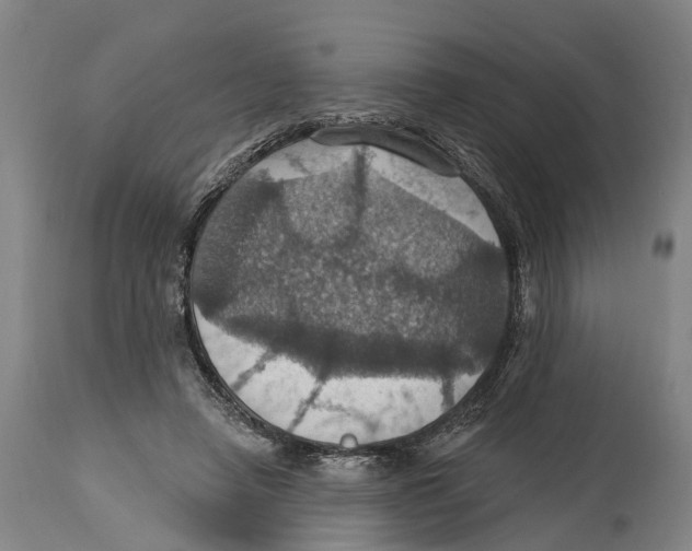 X0000114420450200911131454