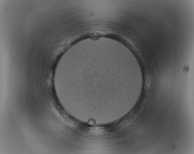 X0000114420451200911131454