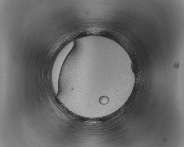 X0000114420452200911131454