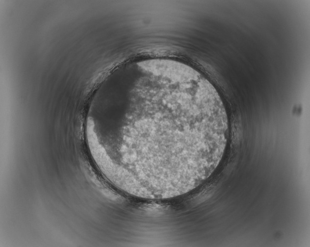 X0000114420453200911131454