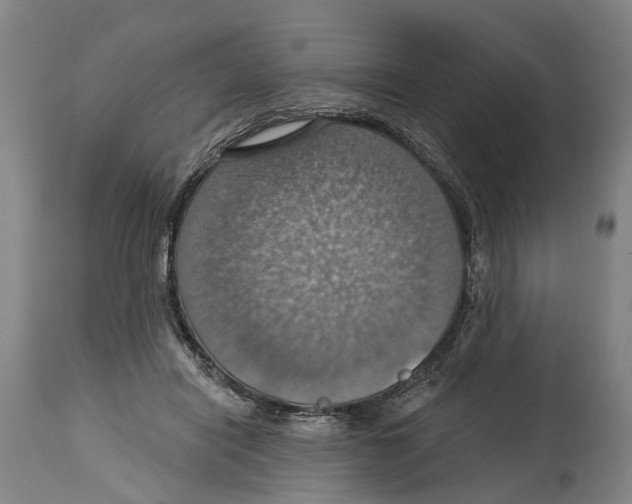 X0000114420454200911131454