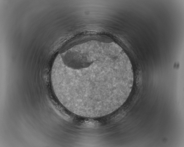 X0000114420455200911131454