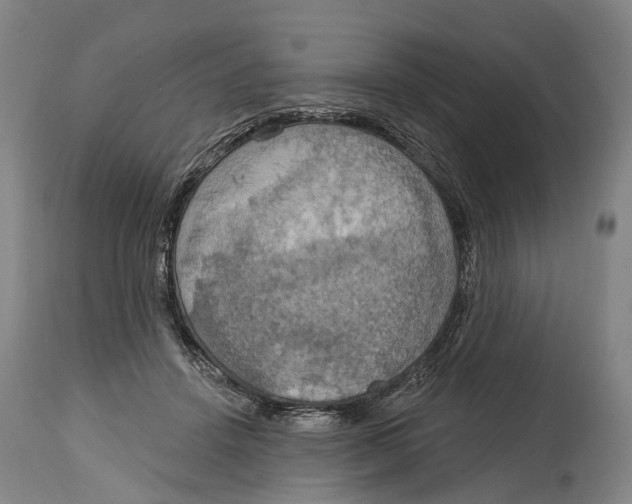 X0000114420456200911131454