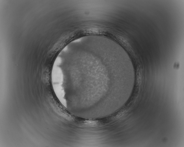 X0000114420457200911131454