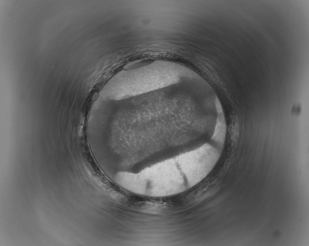 X0000114420458200911131454