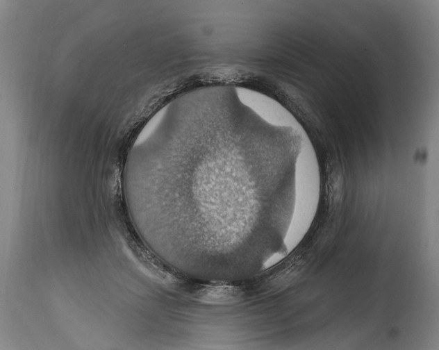 X0000114420459200911131454