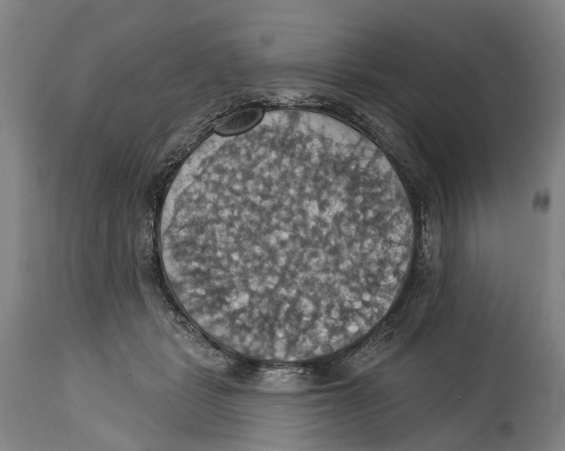 X0000114420461200911131454