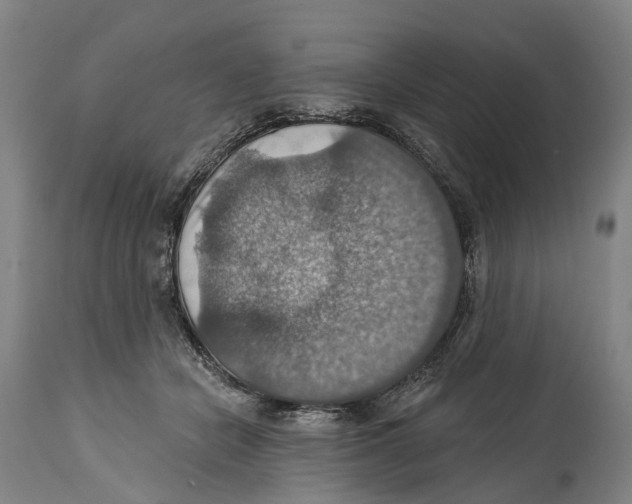 X0000114420462200911131454