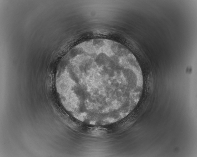 X0000114420463200911131454