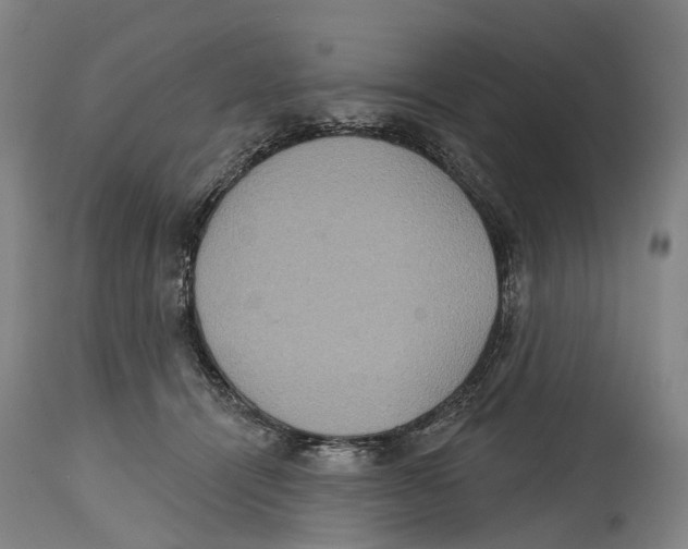 X0000114420464200911131454