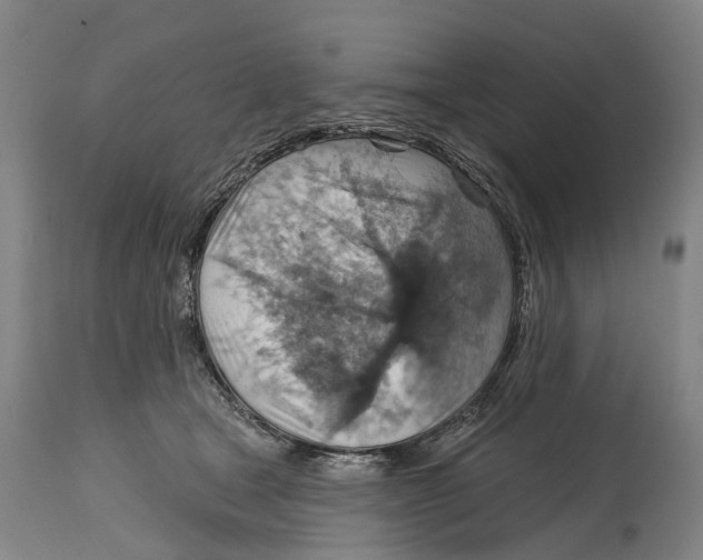 X0000114420465200911131454