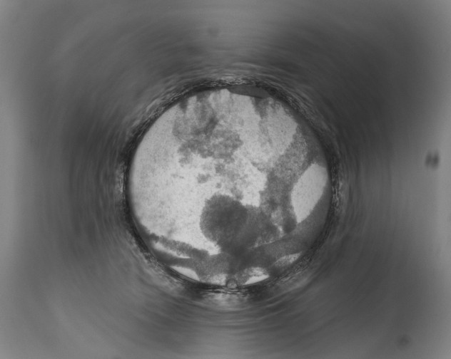 X0000114420466200911131454