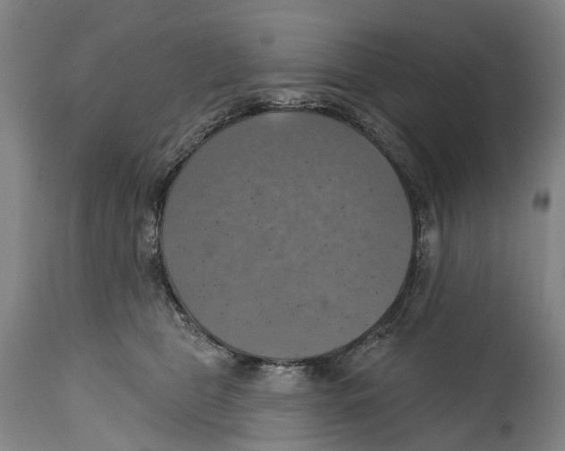 X0000114420469200911131455