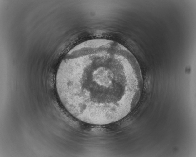 X0000114420470200911131455