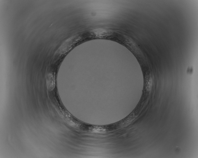 X0000114420471200911131455