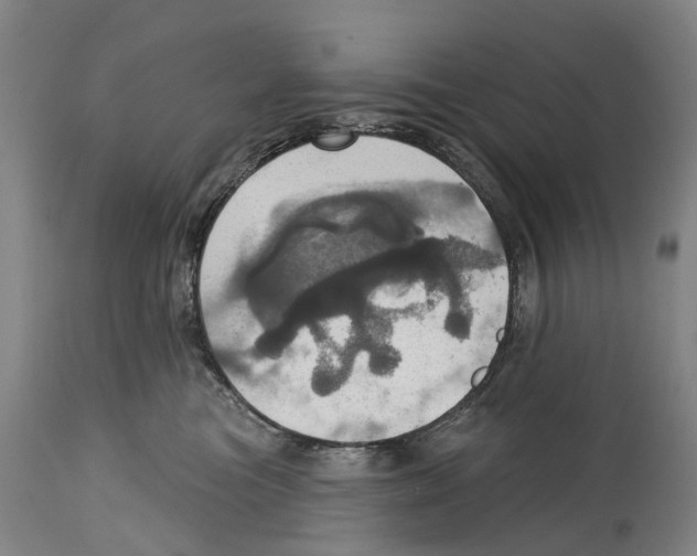 X0000114420473200911131455